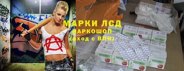 прущие грибы Алексин