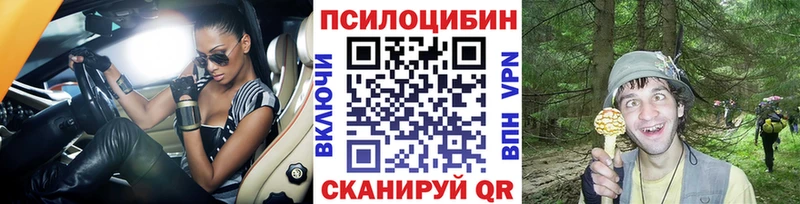дарнет шоп  Анапа  Псилоцибиновые грибы Psilocybe 